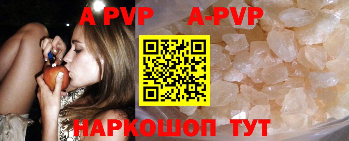 Alfa_PVP СК Мурманск